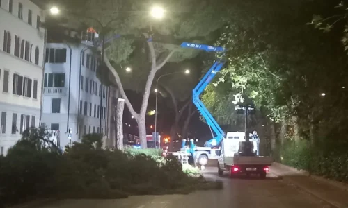 Taglio-alberi-viale-Redi-Firenze-Foto_IlReporter